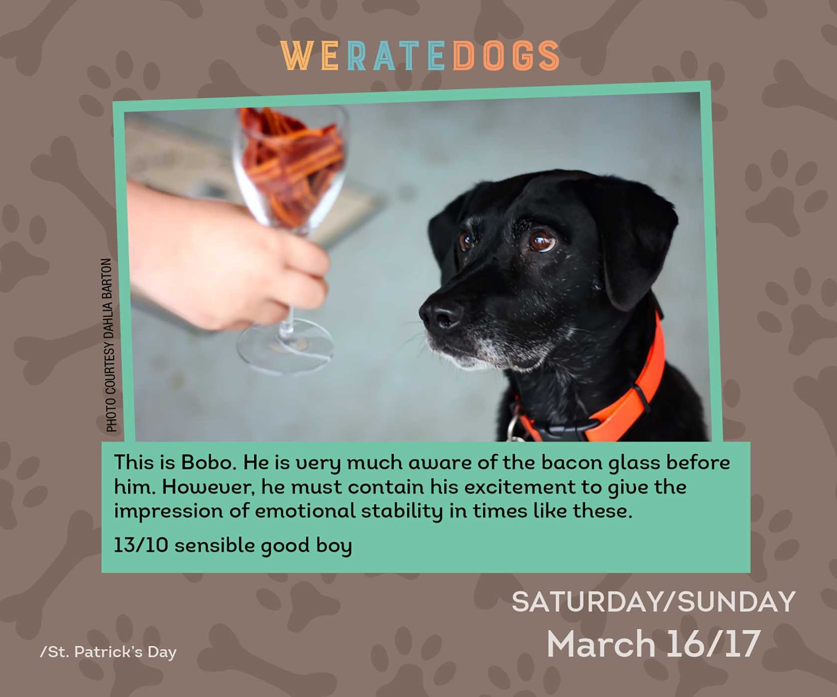 we rate dogs day to day calendar