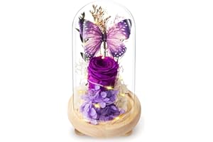 JIGQGY Forever Flowers Preserved Roses Prime Delivery, Romantic Gifts with Light in Glass Dome for Mom Grandma Wife Girlfriend, Purple Flower for Christmas, Valentine's Day,.Anniversary, Birthday