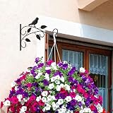 FunPlay Hxeilzge 2 Packs Plant Hanger Brackets 12 Inch Iron Wall Hooks view 5