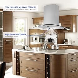 JOEAONZ 30 inch Island Range Hood Stainless Steel