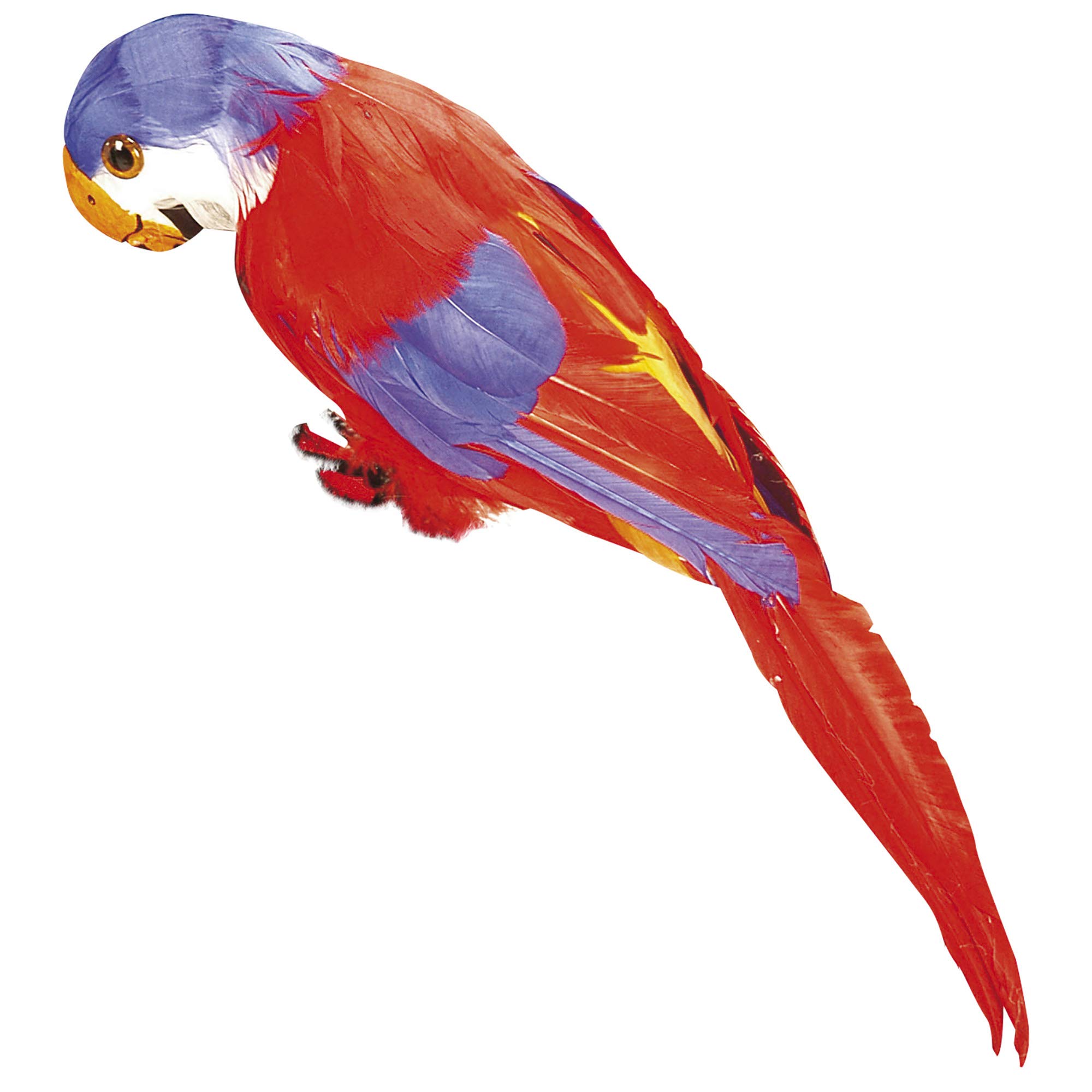 Widmann ? Parrot in Feathers, red