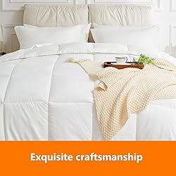 JOKOLO Queen Size Comforter Set - 3 Pieces, 1