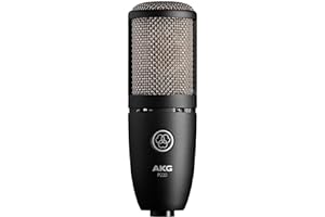 AKG Pro Audio P220 High-Performance Condenser Microphone, Great for Vocals, Guitar, Brass, and General Recording. XLR Wired Mic, for Studio or Stage. Black
