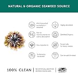 Together Organic Seaweed Iodine Supplement 3x90 Vegecaps UK Made view 3