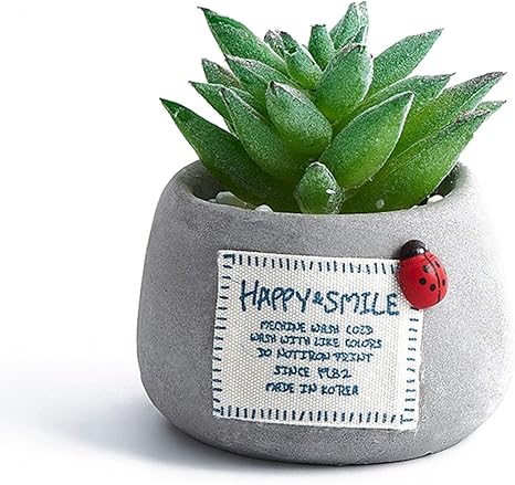 Amazon 人工多肉植物 デスク装飾 小さな人工多肉植物 ポット付き リアルなフェイク多肉 室内装飾 自宅 オフィス フェイク多肉植物 ミニ多肉植物 ミニサボテン フラワー４ 枯れない インテリア 正方形 プレゼント リアルな見た目と感触 F 人工観葉植物 オンライン通販