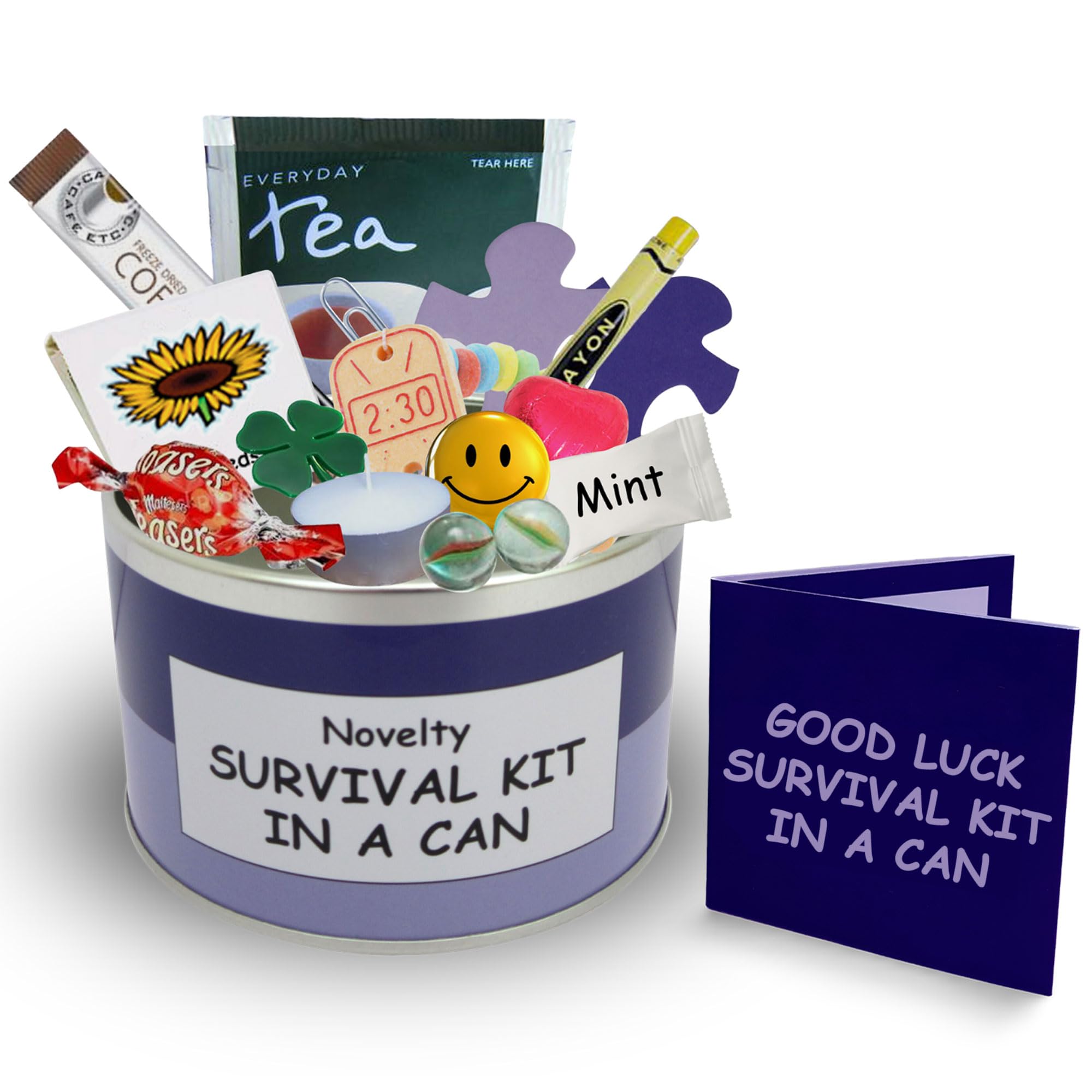 Good Luck Survival Kit In A Can. Humorous Novelty Fun Gift - Present & Card All In One. New Job, Leaving, Emigrating, Moving Away etc. Customise Your Can Colour. (Purple/Lilac)