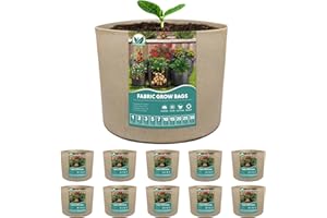 HYDGOOHO Plant Grow Bags 1 Gallons-10 Pack Multi-Purpose Nonwoven Fabric Pots with Durable Handles,Outdoor Garden Plant Pots for Vegetables Fruits Flowers Herb Succulent Bonsai Plants (Yellow)