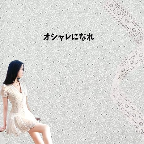 Amazon Aicvhin 生地 布 綿100 白い綿布生地 刺繍透かしレース 衣装 ドレス ワンピース カーテン 大人用 子ども用 裁縫 ハンドメイド 1m綿平織りストライプ花の穴刺繍レースの生地 スタイルh 100 130cm 布 生地 通販