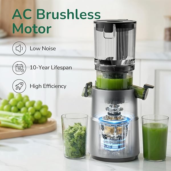 CANOLY COLD PRESS JUICER, 4.5″ WIDE FEED CHUTE JUICER MACHINE