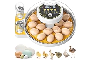 ONSJU 18 Egg Incubator with Automatic Egg Turning and Humidity Control, Incubators for Hatching Eggs, Incubator for Farm Science Classroom Home Chicken Duck