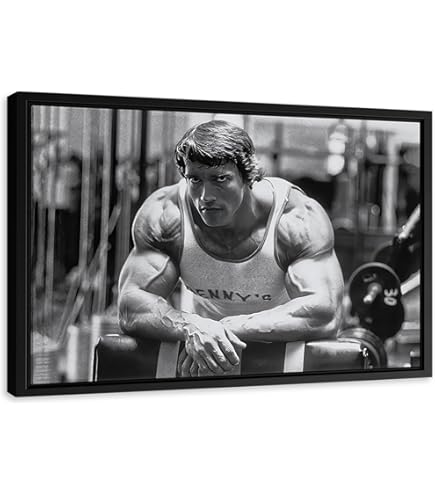 Amazon.com: Enjoyment - Arnold Schwarzenegger Mr Olympia Madison
