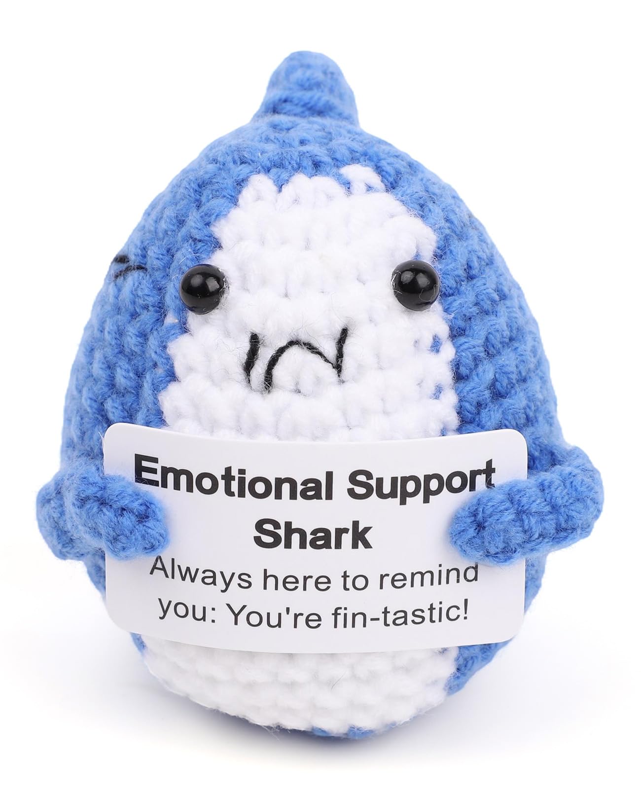 Leogony Positive Affirmation Gifts for Men Women, Good Luck Charm Motivational Gift, Positivity Cheer Up Gift for Birthday Party