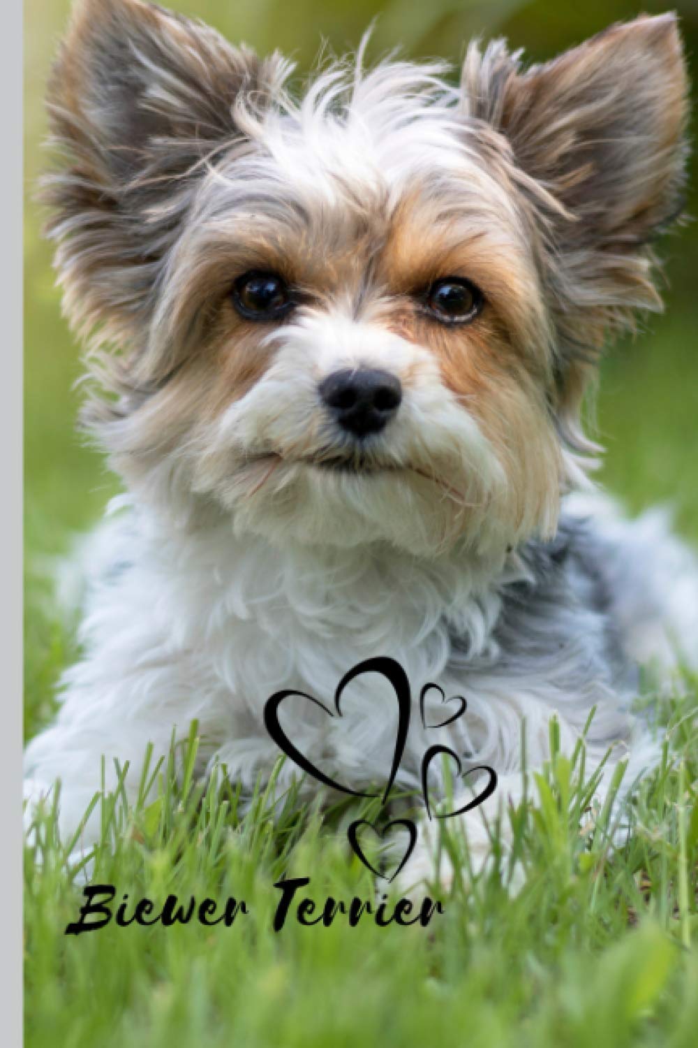 Biewer Terrier Dog Notebook For Dog Lovers: Composition Notebook 6x9" Blank Lined Journal