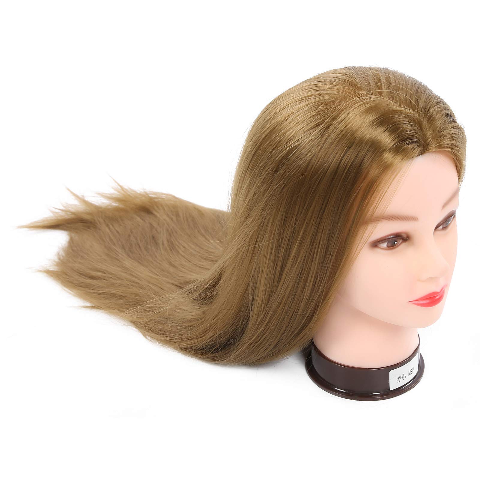 View 8