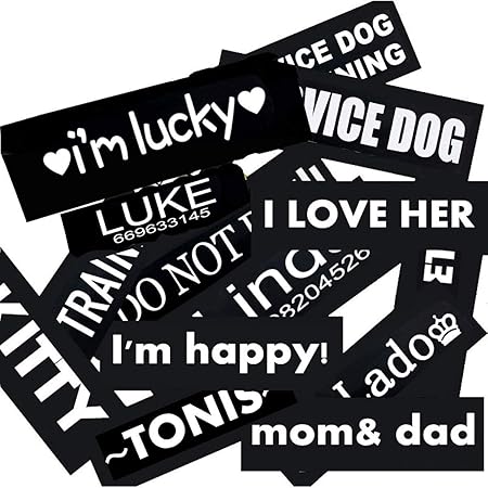 personalized therapy dog vest