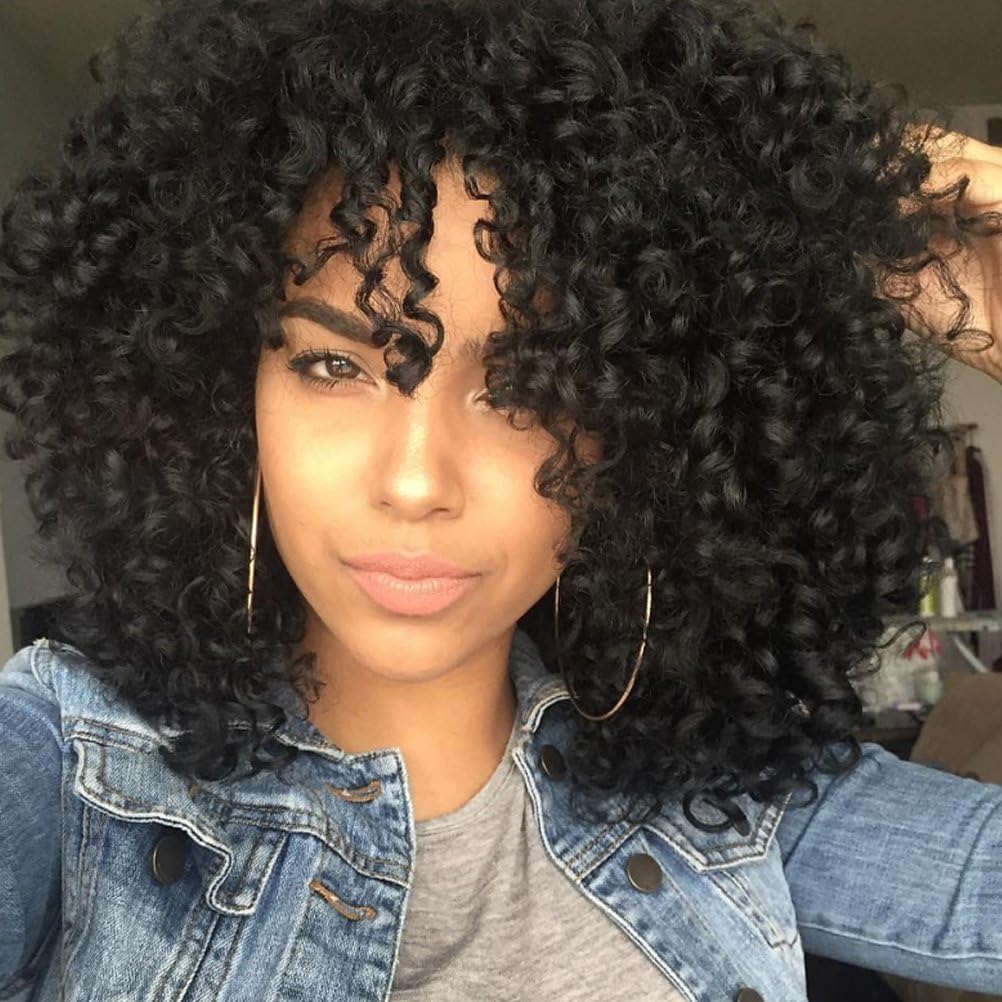BERON Synthetic Afro Curly Wigs for Black Women Natural Looking Short Kinky Wigs Jet Black Heat Resistance Fiber Wig (Jet Black)