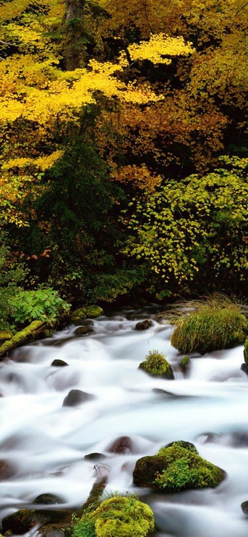 PeelitStickit, Beautiful Nature Wall Murals, ID-3365, vinyl, Multi-colour