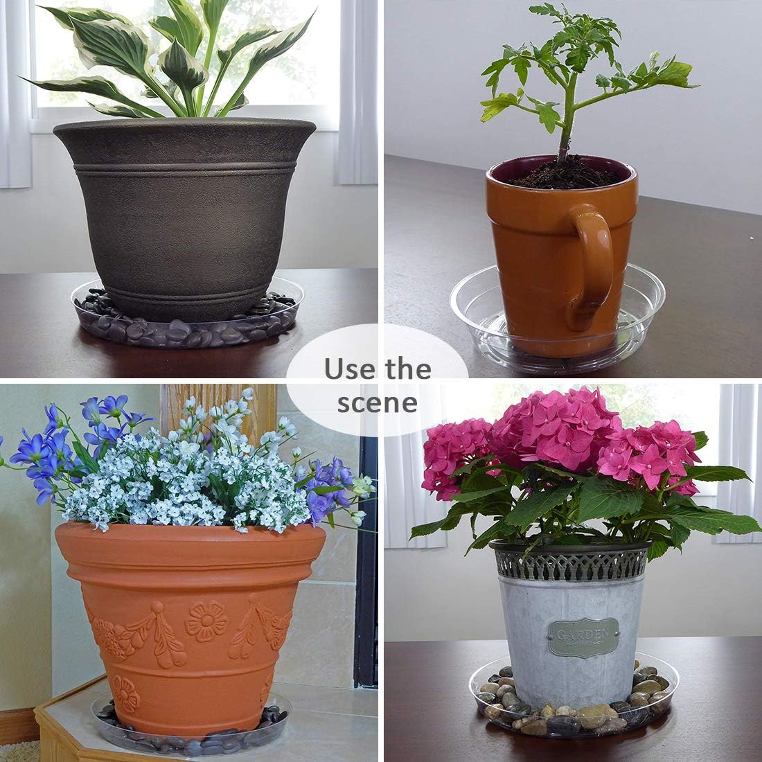 GROWNEER 15 Packs Clear Plant Saucer Drip Trays, with 15 Pcs Plant Labels, Plastic Plant Pot Saucers Flower Pot Set for Indoor Outdoor Garden, Assorted Sizes 6/8/10 Inch, 5 Pcs of Each Size: Kitchen & Dining