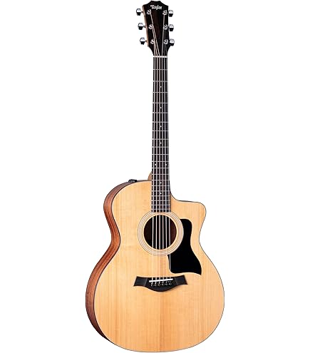 Taylor academy10e 美品 Amazon.com: Taylor Academy Series 10e Dreadnought Guitar