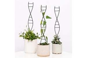 Yohsnor 3 Pcs Indoor Plant Trellis Set - Black Metal DNA Design for Potted Plants, Small Houseplants & Climbing Support - Modern Home Decor & Vertical Garden Display - Perfect for Indoor & Outdoor Use