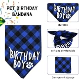 Fantasyon Dog Birthday Hat and Bandana Set Blue Reusable Party Accessory view 5