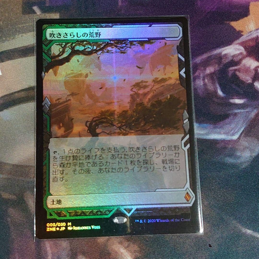 Amazon Co Jp Mtg 日本語 Foil Exp 吹きさらしの荒野 ゼンディカーの夜明け ホビー 通販
