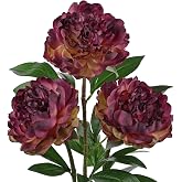 Briful Artificial Peony Stems, 25.5 Inch, 3 Pack, Vintage Burgundy | Faux Peony Flower Stems Silk Peonies Bouquet For Rusitc Home Decor, Fall Tables and Wedding Arrangements