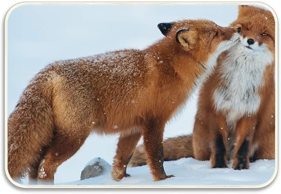 Amazon Funnylife動物自然キツネ雪ゴム滑り止めエントリーウェイフロアマット屋外屋内装飾ラグ玄関マット 80x50cm 玄関マット オンライン通販