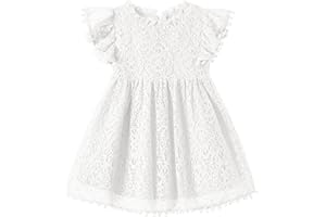 Niyage Toddler Girls Elegant Lace Pom Pom Flutter Sleeve Party Princess Dress