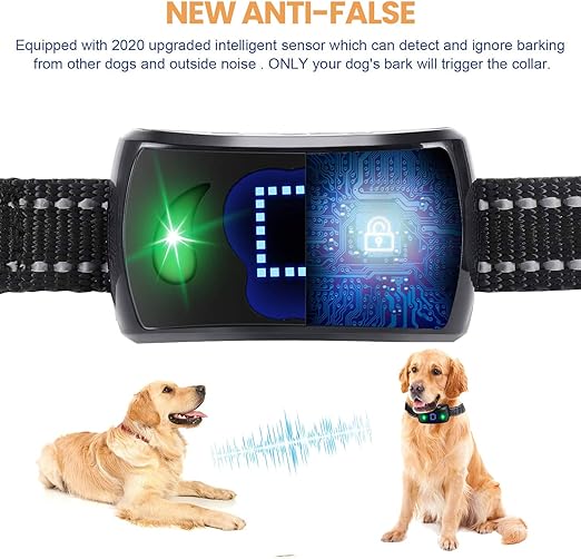 Dog buzzer collar Clearance