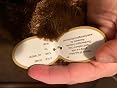 Bearington Lil' Grizby Plush Stuffed Bear - 7 Inch Brown Grizzly, Ultra Soft, Poseable, Award-Winning - View #7