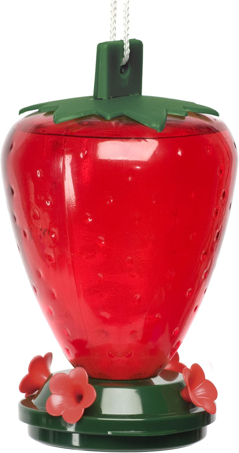 Strawberry Hummingbird Feeder 1480ml Amazon.co.uk Pet Supplies