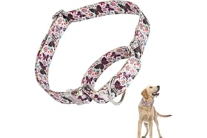 ONEFOJOJO Martingale Collar for Dogs with Butterflies Design, Adjustable Premium No Slip Collar for Girl or Boy, Heavy Duty Nylon Dog Training Collar, Perfect for Training, Walking, Hunting (M)