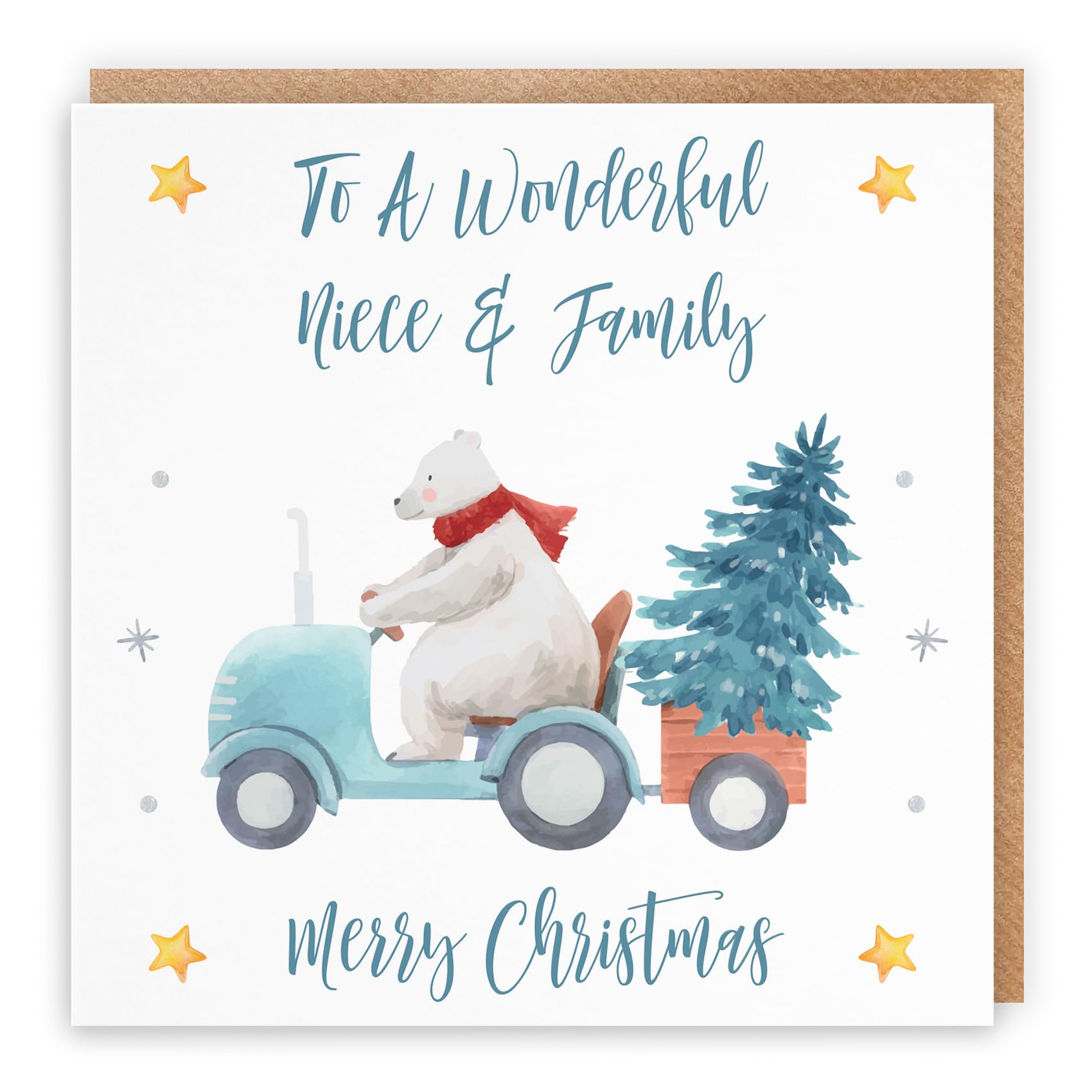 Hunts England - Niece And Family Christmas Card - To A Wonderful Niece & Family - Merry Christmas - Polar Bear Collection