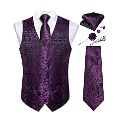 DiBanGu Mens Vest and Tie Set Formal Paisley