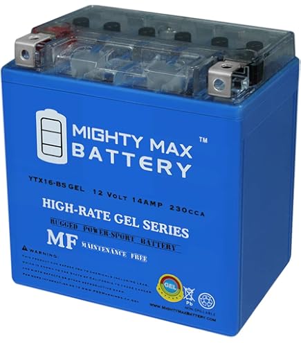 Amazon.com: Mighty Max Battery YTX16-BS GEL Battery for Suzuki LT