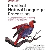 Practical Natural Language Processing: A Comprehensive Guide to Building Real-World NLP Systems