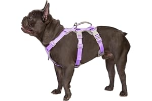 Huntboo Escape Proof Harness,No Slip Dog Harness Escape Proof,Fully Reflective Harness with Handle,Breathable,Durable,Adjustable Vest for Medium Dogs Walking,Training & Running Gear(Lavender Purple,M)