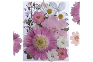 MUCBAFLY Dried Pressed Flowers for Resin, Real Pressed Flowers Dry Leaves Bulk Natural Herbs Kit for Scrapbooking DIY Art Crafts, Nails Décor, Epoxy Resin Jewelry, Candle, Soap Making (Pink)