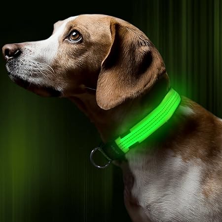 great and small dog collar