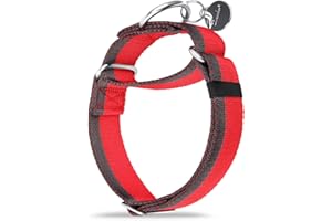 Dazzber Martingale Collar 1.5 Inch Wide 1200D Extra Strong Nylon Dog Collar, No Pull Heavy Duty Dog Collar with 2-Color Stripe for Medium to XLarge Dogs (Medium, 1 1/2 Inch Wide, Red & Grey)