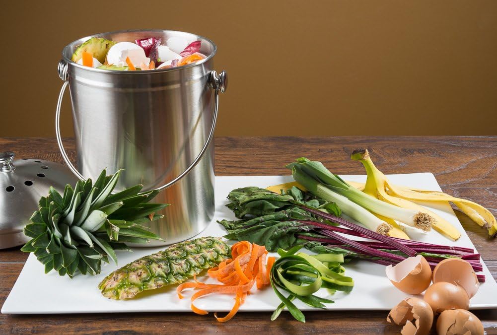 EPICA Stainless Steel Compost Bin 1.3 Gallon-Includes Charcoal Filter: Home & Kitchen