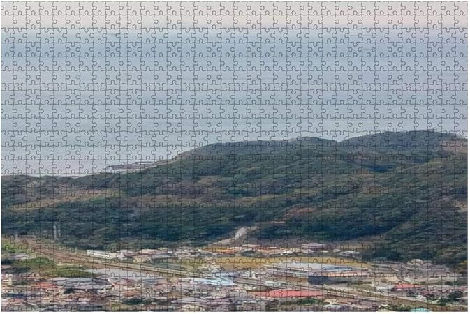 Amazon 1000ピース ジグソーパズル 風景 横須賀線e235系試運転と浜金谷駅の町並み 縦構図 子供 おもちゃ 室内 プレゼント 誕生日プレゼント 女の子 男の子 知育玩具 おもちゃ おもちゃ