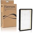 Kenmore 62731 HEPA Media Vacuum Cleaner Exhaust Air Filter for Canister Vacuum 81615