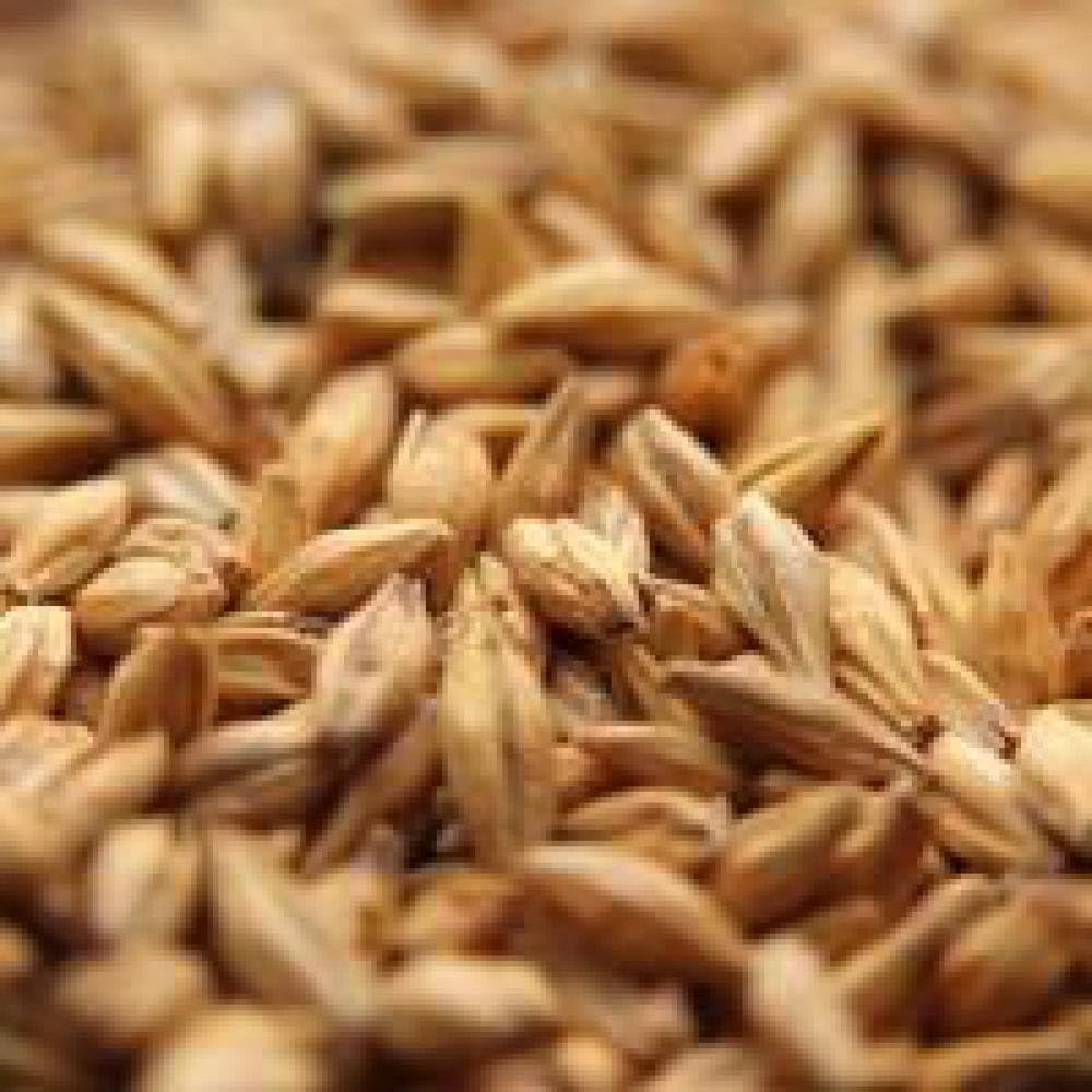 Avangard Malz Premium Munich Light Malt - 10 LB, Uncrushed