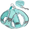 TomteNisse Dog Harness and Leash Set, No Pull Pet Harness for Small Dogs Easy Walking,Soft Breathable Small Dog Harness,Adjustable Reflective Step in Vest Harness for Puppy,Kitten, Cats