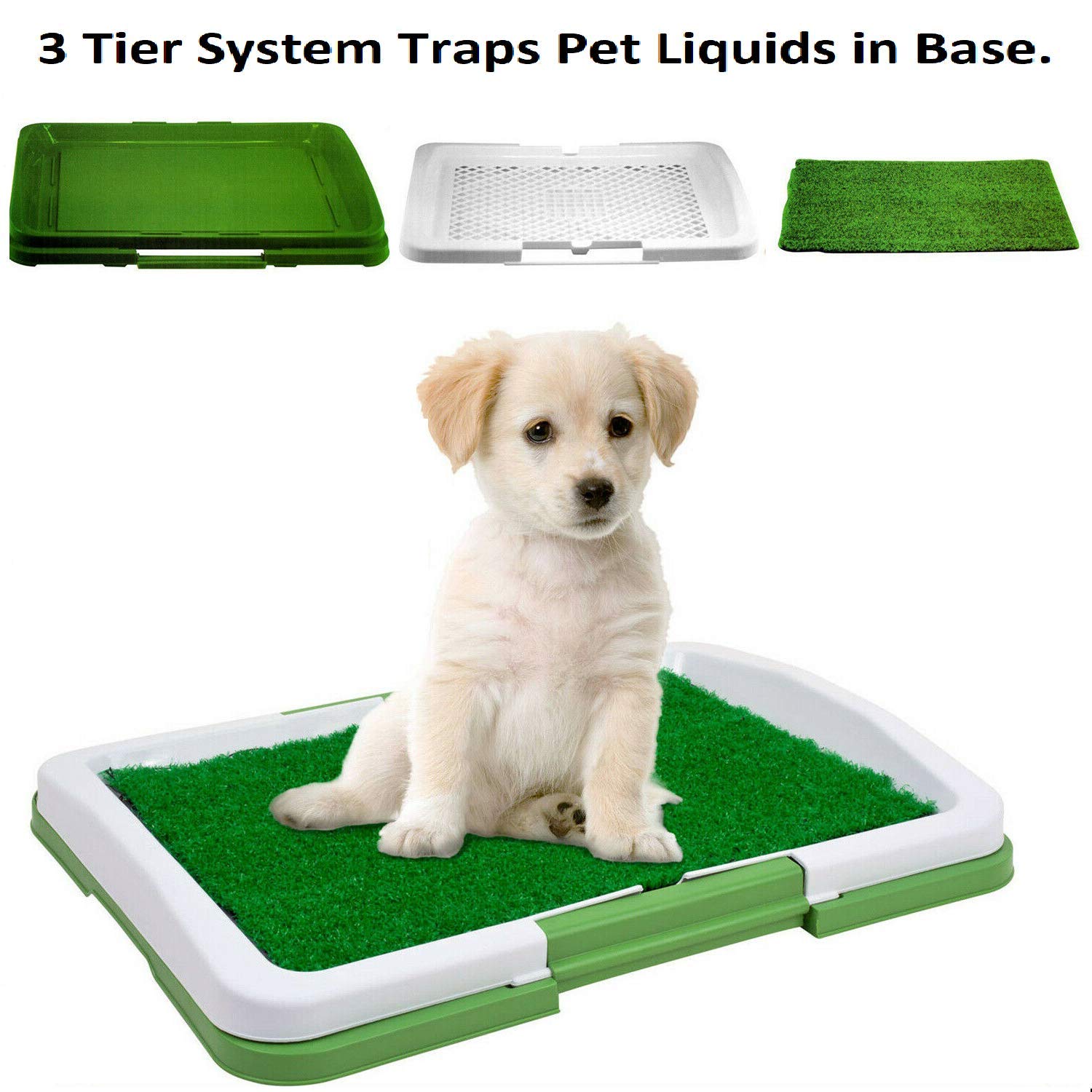 puppy potty grass mat