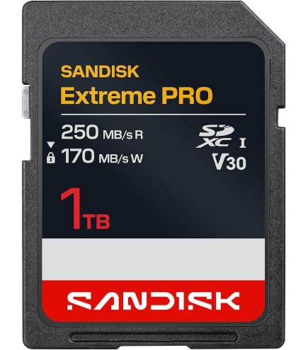 Amazon.com: SanDisk Extreme PRO SDSDXXD-1T00-ANCIN 1 TB Class 10