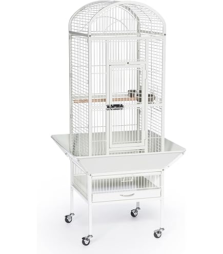 洋楽 CAGE $_12.JPG?set_id=880000500F