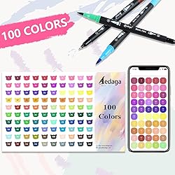 AEDAGA 100 Colors Numbered Dual Tip Brush Pens with